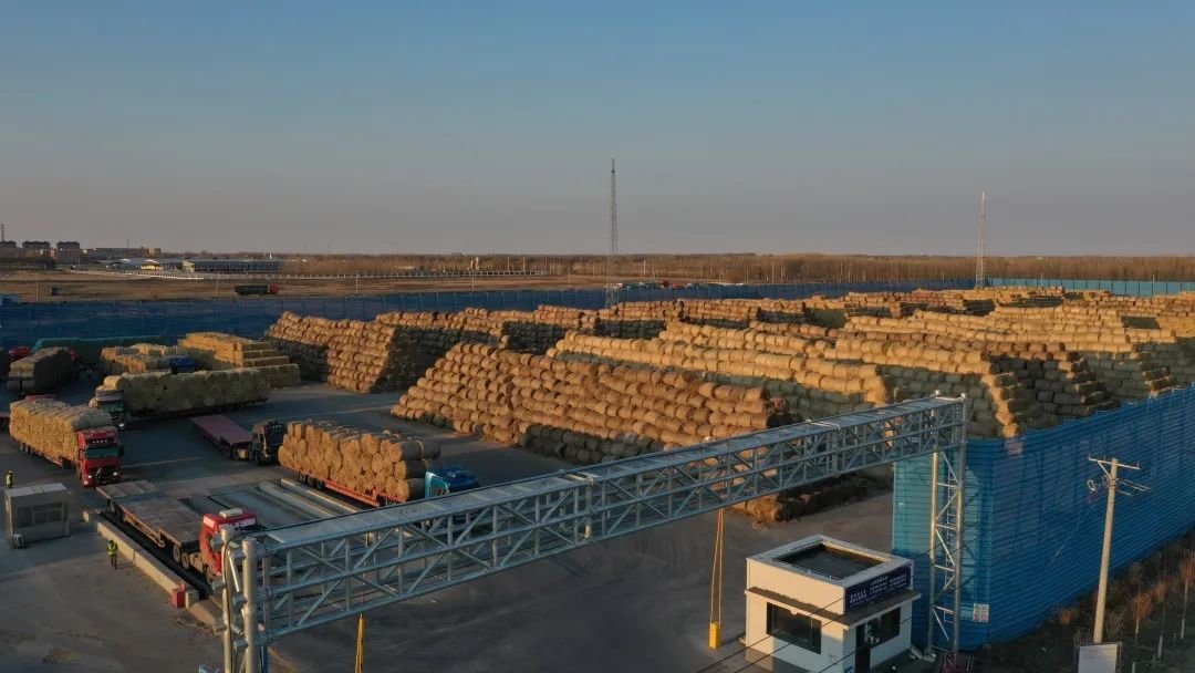 1683608293455838.jpg 微信圖片_20230509125700.jpg